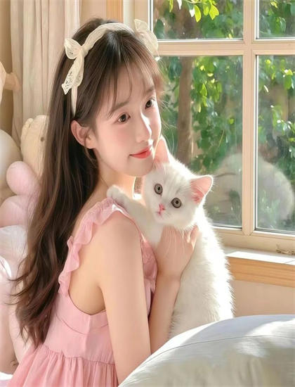 文化的《少女闺房.第二话》观看指南：剧情走向、时间线梳理与人物关系图详解